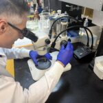 Sistema de monitoramento antecipa presença de coral-sol e reduz impactos ambientais
